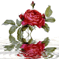 109.gif